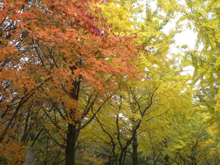 DSCN1230_resize.JPG