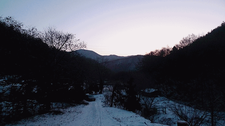 새해 첫날.gif