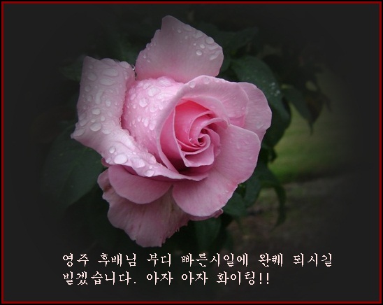 aa-DSC05288.JPG