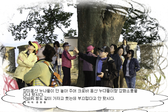 소풍강화소풍.jpg
