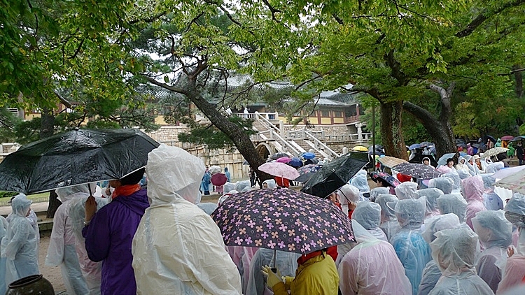inilchong-20101024-121.JPG