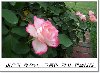 a-DSC01494.JPG