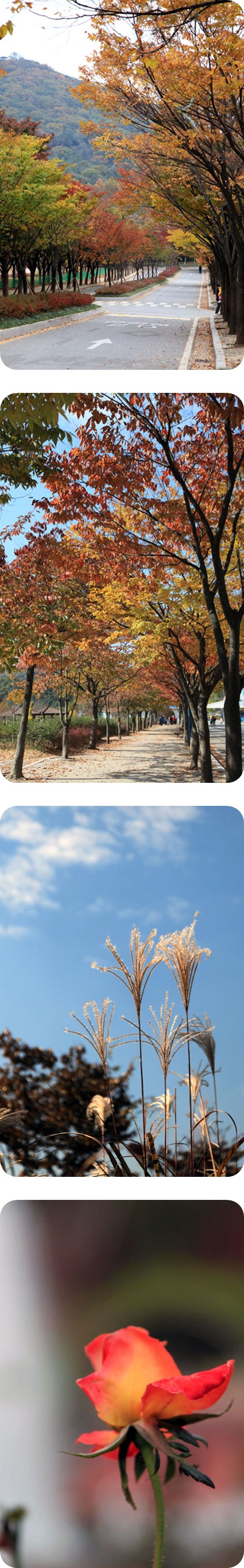 incheonpark4.jpg