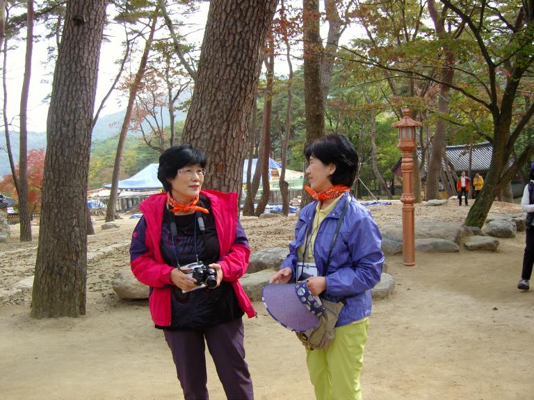 SNC10271.JPG
