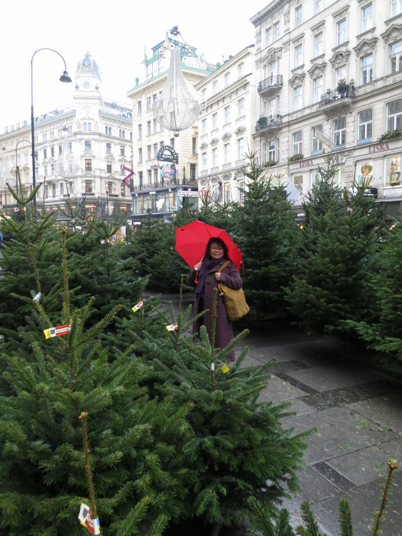christmas mood 6.JPG