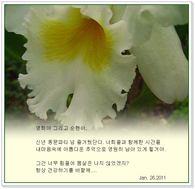 a-DSC06831.JPG