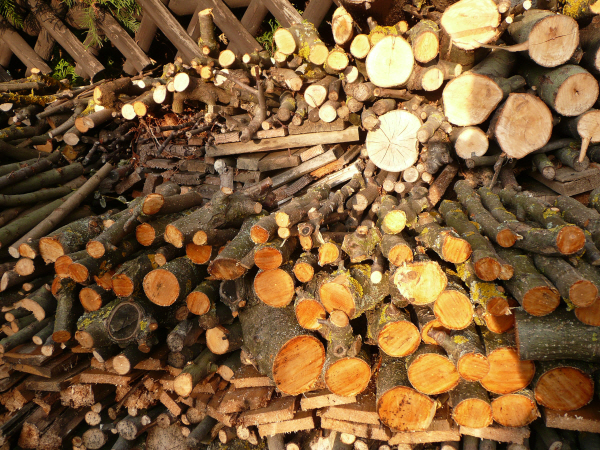 Brennholz 1_2.JPG