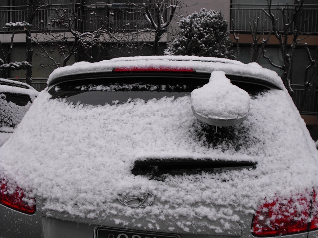 snow215 002.JPG