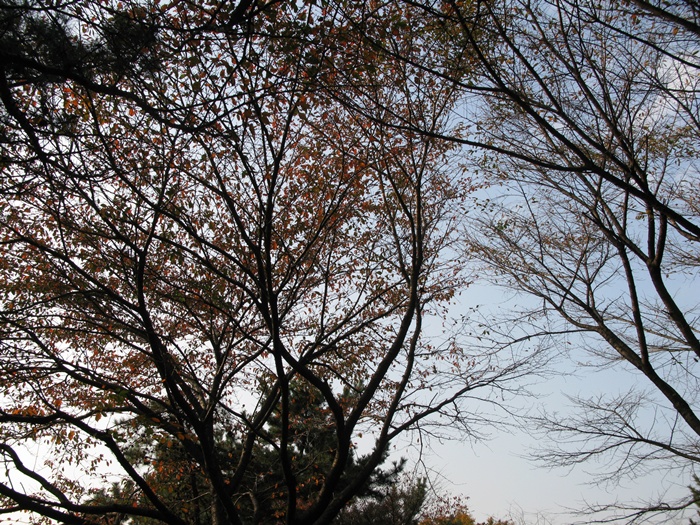 IMG_1580.JPG
