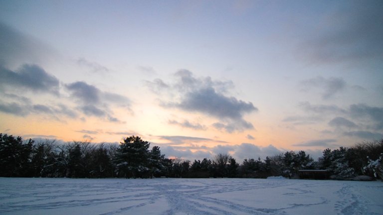 IMG_8967.JPG