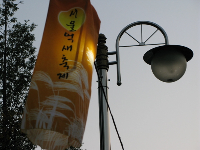 가을나들이2IMG_2672.JPG