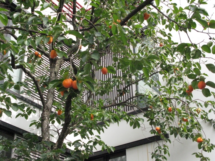 대림겔러리IMG_2920.JPG
