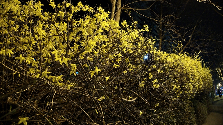 P1050024.jpg