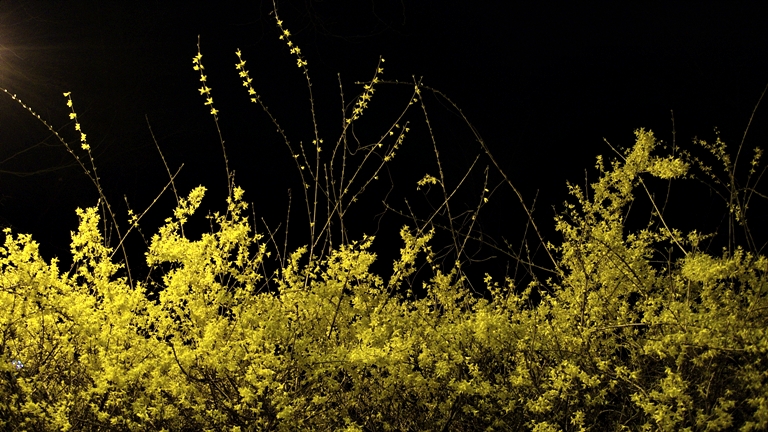 P1050028.jpg
