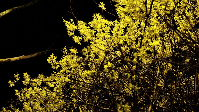 P1050031.jpg