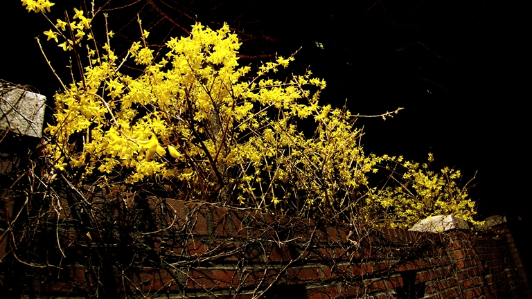 P1050033.jpg