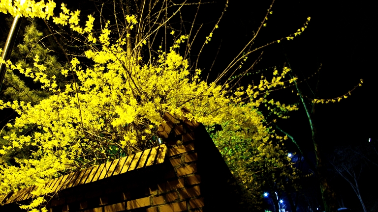P1050050.jpg