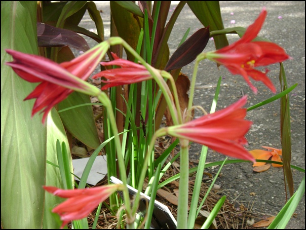 b-DSC01771.JPG