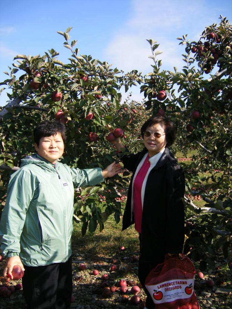 apple 010.jpg