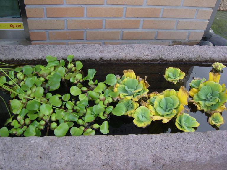 SNC12040.JPG