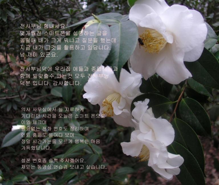 b-SANY0210.JPG