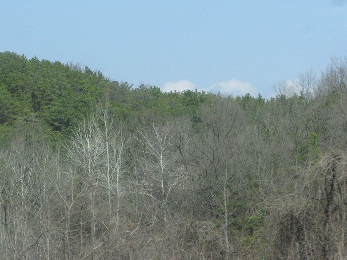 IMG_6480.JPG