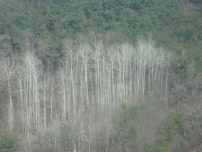 IMG_6481.JPG