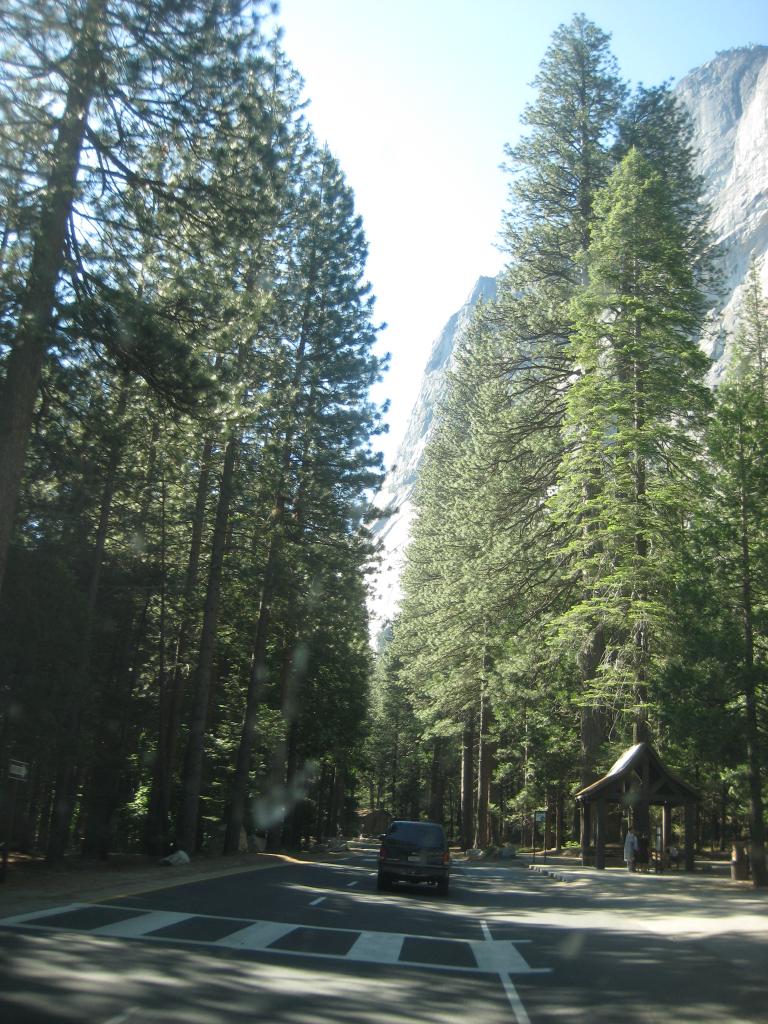 Yosemite 110.JPG