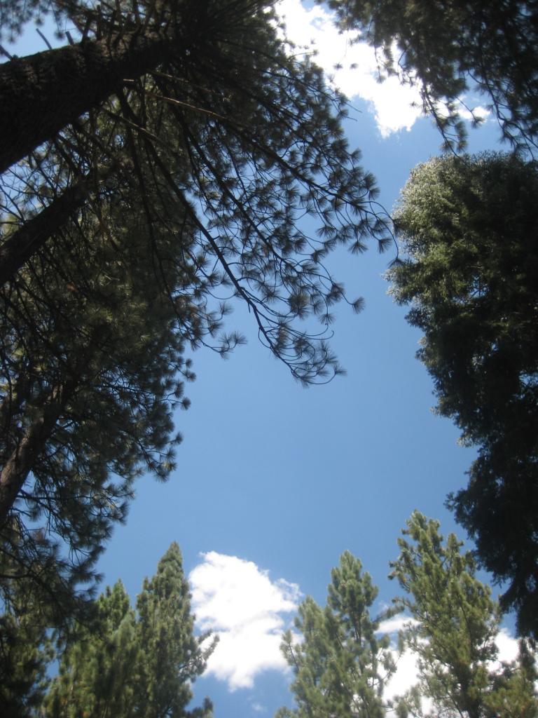 126.JPG