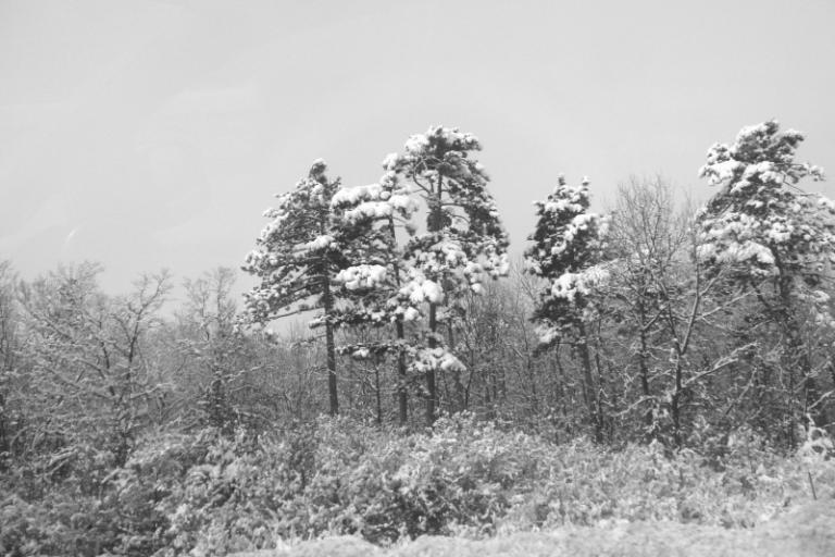 schneeland 1.JPG