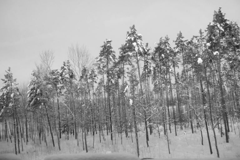 schneeland 2.JPG