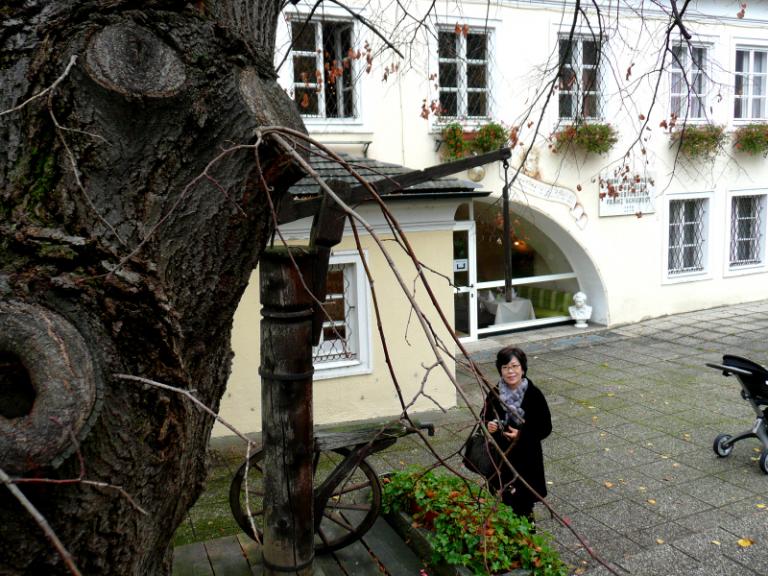 Lindenbaum 2.JPG