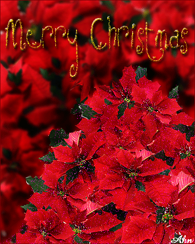 red-x-mas_1.gif