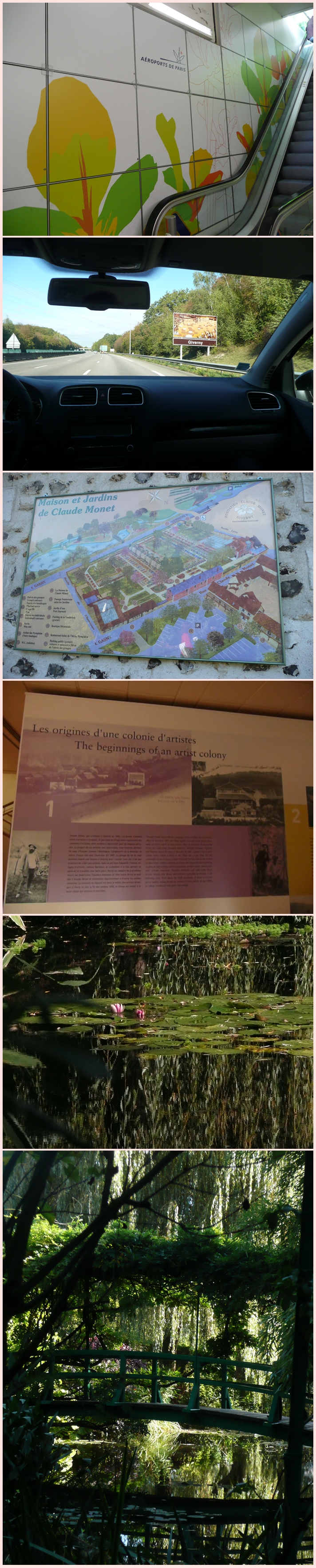 P1220012-vert.jpg