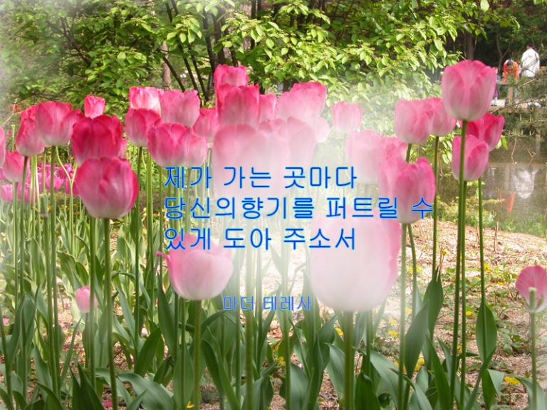 튜울립-편지지.jpg