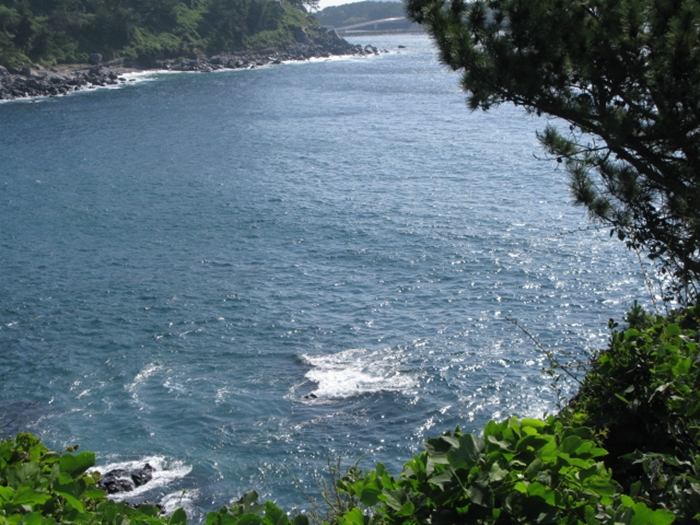 2009벌초IMG_2289.JPG