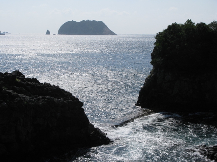 2009벌초IMG_2292.JPG