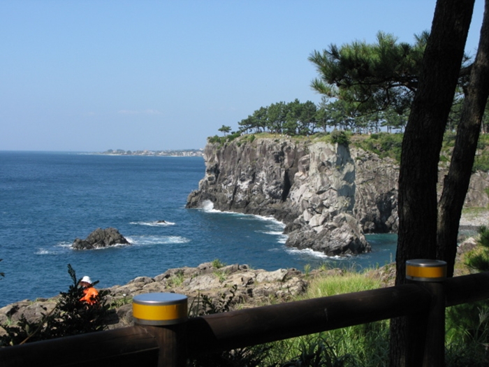 2009벌초IMG_2297.JPG