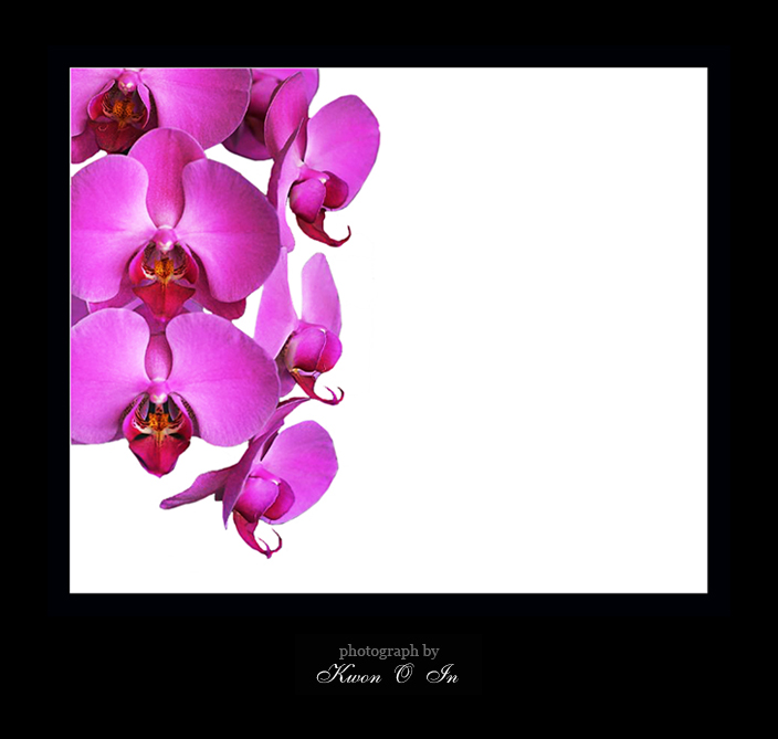flower1.jpg