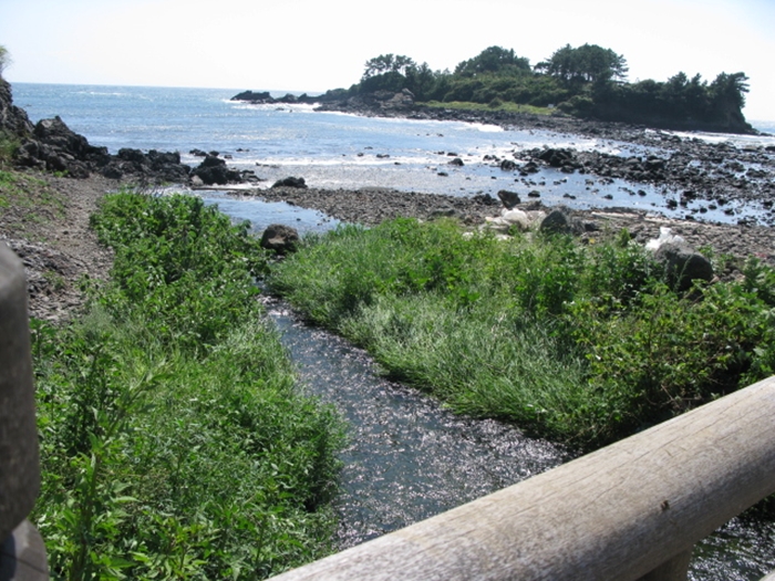 2009벌초IMG_2346.JPG