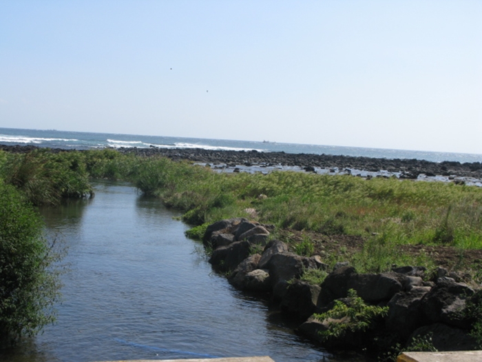 2009벌초IMG_2385.JPG