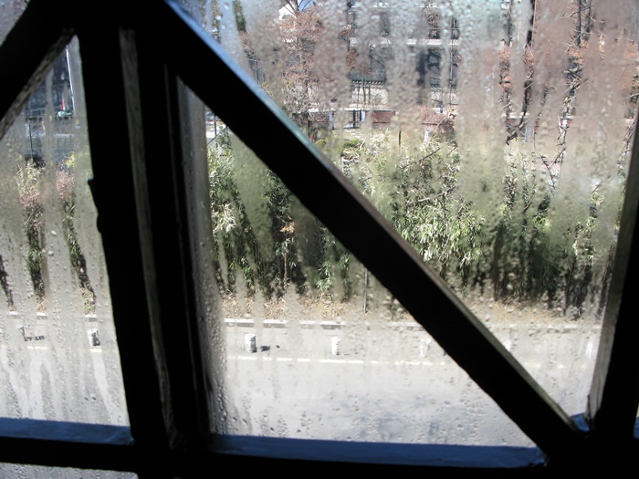 IMG_6174.JPG