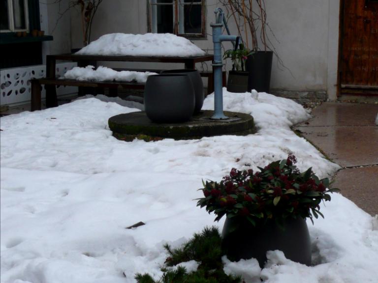for garden 2.JPG