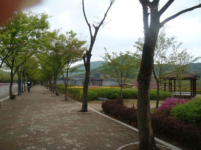 DSC02966.JPG