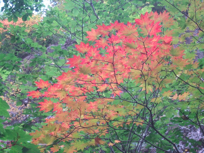 DSCF5597.JPG