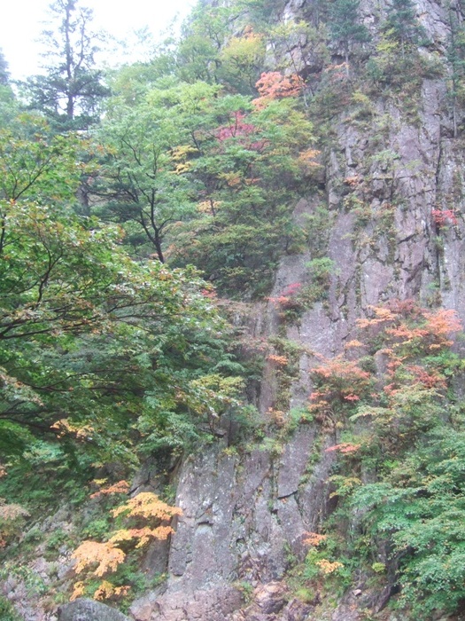 DSCF5641.JPG