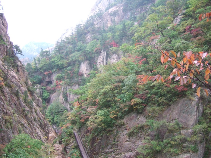 DSCF5649.JPG