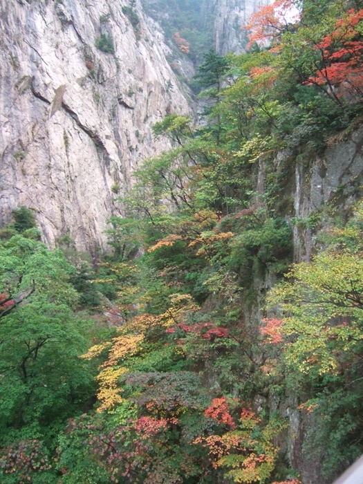 DSCF5653.JPG
