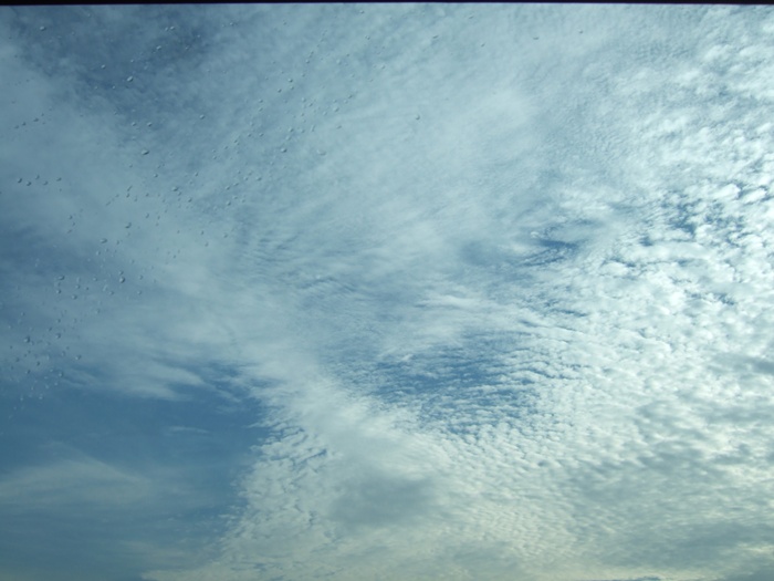 DSCF5541.JPG