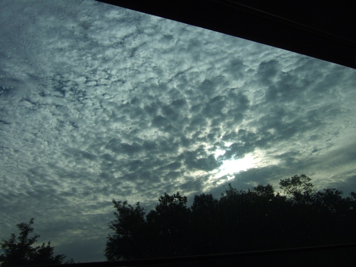 DSCF5542.JPG